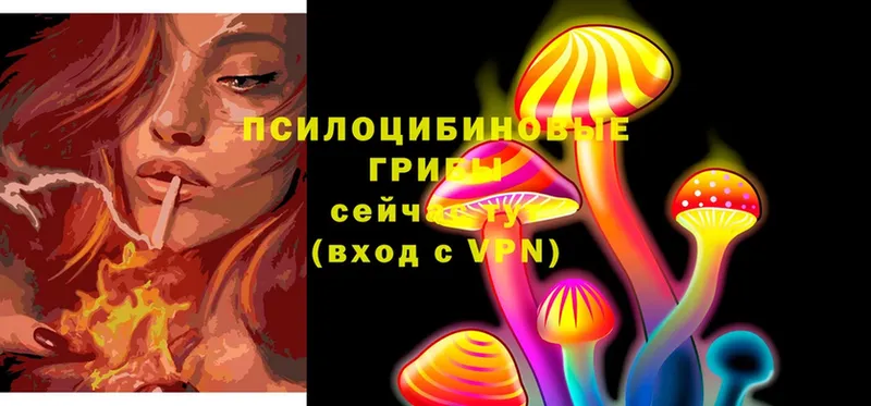 цены наркотик  Жигулёвск  Галлюциногенные грибы MAGIC MUSHROOMS 